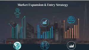 Co-Development as an Entry Strategy in Refractories